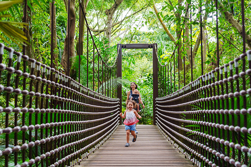An adorable and curious toddler girl of multiracial descent runs on a suspension bridge while walking through a garden with her family in Singapore.