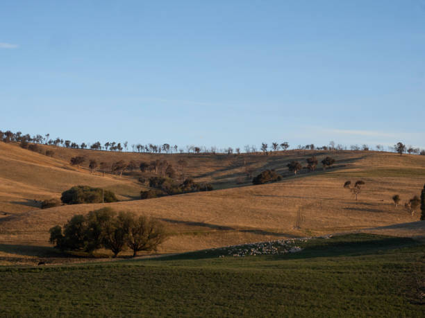 Late afternoon sun over farm land near Omeo in the Victorian High Country