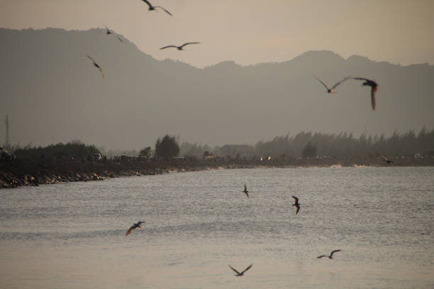 Seagulls fly low amidst the roar of the waves