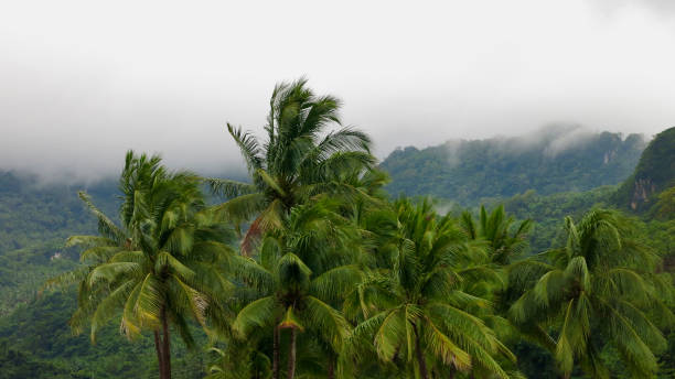 istock Misty morning in the mountains. 2039036161