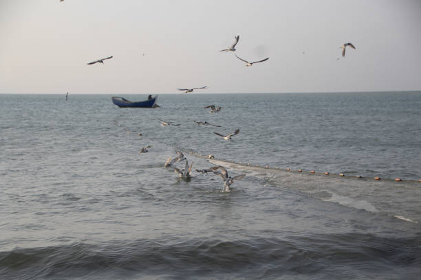 Seagulls fly low amidst the roar of the waves