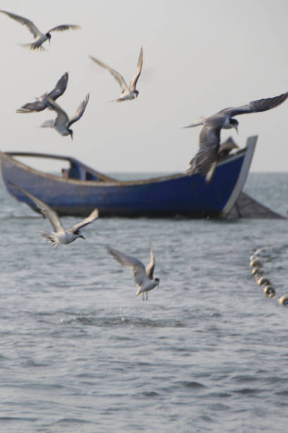 A group of seagulls perched calmly on a floating dock, as choppy waters of the lake stir around them, capturing a moment of stillness amid nature's movement.