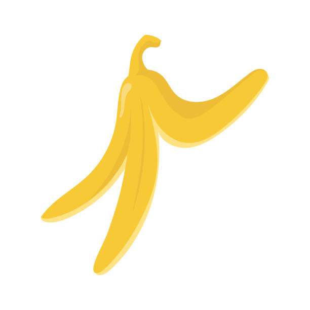 ilustrações, clipart, desenhos animados e ícones de casca de banana do vetor isolada em um vetor de fundo branco - banana peeled banana peel white background