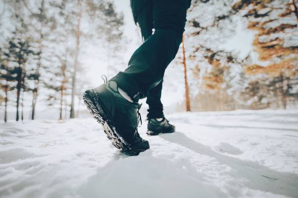 istock Walk in winter wonderland 2039095404