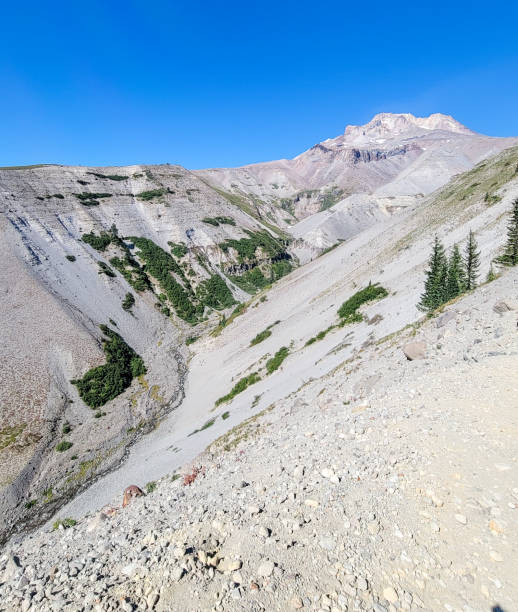 istock On the side of a volcano 2039185792
