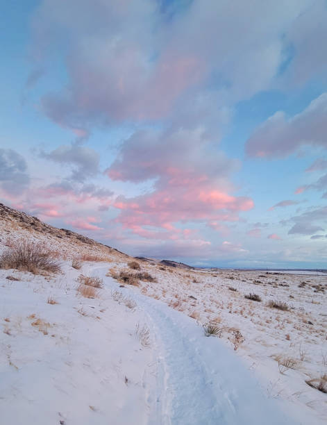 istock Early morning on a winter trail 2039187894