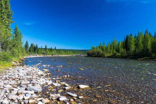 istock Big Berland Provincial Recreation Area, Alberta Canada 2039189983