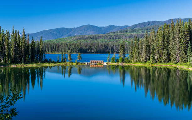 Tranquil morning reflecting on lake at William a Switzer Provincial Park, Alberta, Canada