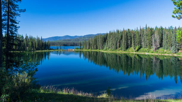 istock Tranquil morning reflecting on lake at William a Switzer Provincial Park, Alberta 2039191029