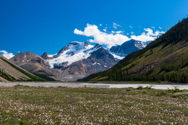 istock Icefields Parkway, Alberta Canada, Banff and Jasper National Park 2039195161