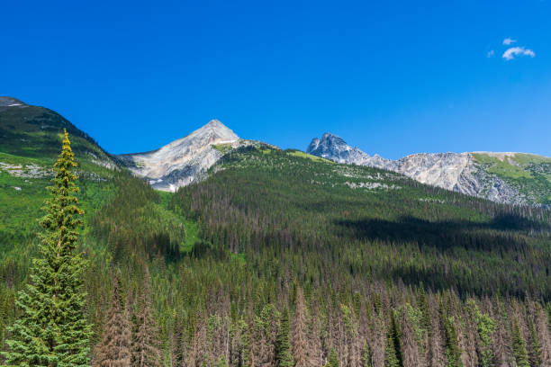 istock Glacier National Park in British Columbia, Canada 2039204476