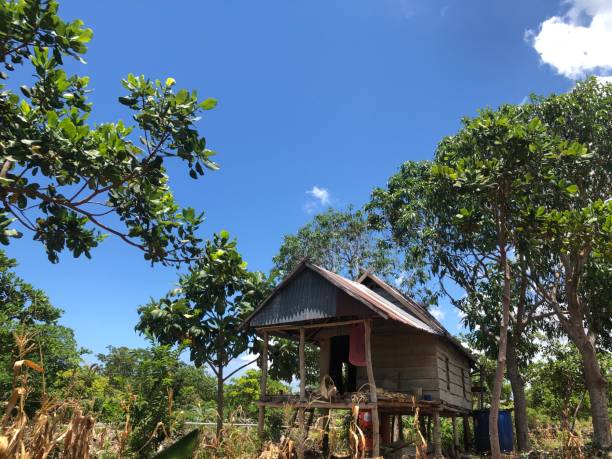 istock Small wooden house 2039205003