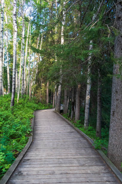 istock Boardwalk trail, Twin Falls Gorge Provincial Park 2039214846