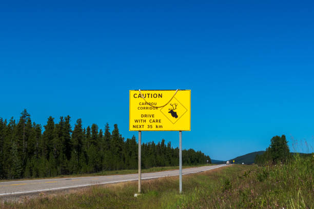 Big Berland Provincial Recreation Area, Alberta / Canada - 9 AUG 2022: Caution sign warns motorists of caribou corridor along Alberta Highway