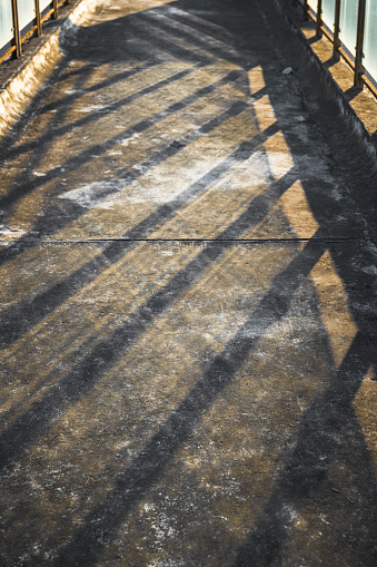 Sunlight casts shadows on the ground
