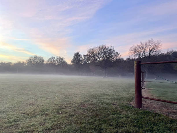 istock Early Morning Fog 2039267697