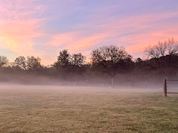 istock Sunrise and Morning Fog 2039268226
