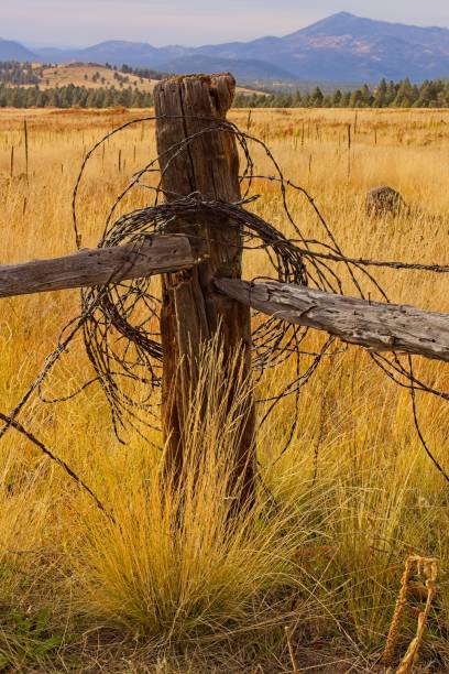 istock Old fence with barbed wire wrapped around it and mountains in the background. 2039287908