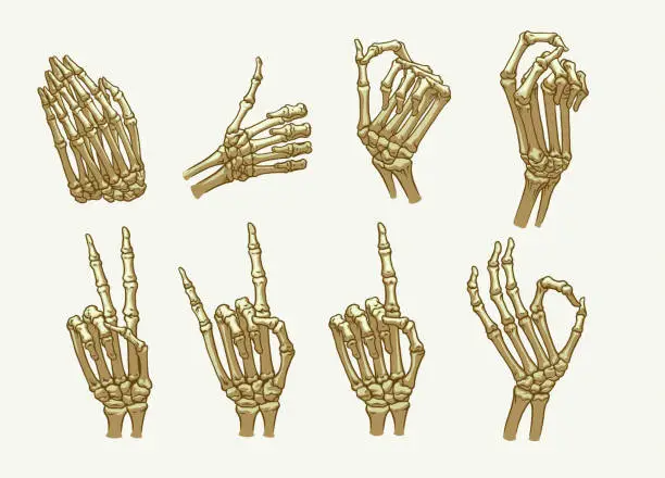 Vector illustration of Set of Skeleton Hand Gesture Hand Drawn