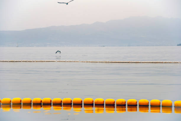 Fishing net buoy and seagull