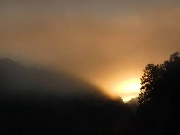 A foggy fall sunrise