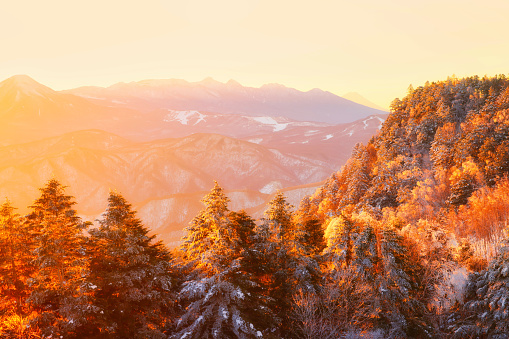 Yatsugatake mountain range and Utsukushigahara plateau trees at sunrise covered in snow in Japan