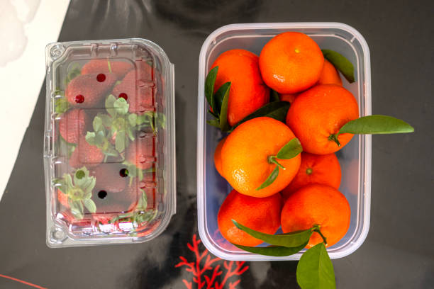 Vegan snacks in a plastic boxes