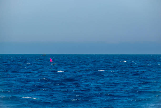 Los Caños de Meca, Barbate, Cádiz; August 19, 2022: athletes practicing kitesurfing in front of the beach of the Trafalgar Lighthouse