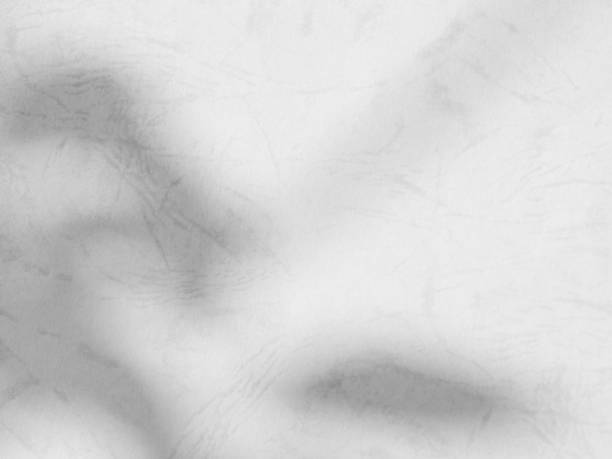 istock Shadow Background Abstract Leave Overlay Wall Floor Light Effect White Plant Sunlight Backdrop Mockup Minimal Spring Summer Nature Grey blur Photography Scene Template Poster Card Frame Product. 2039523322
