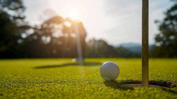 Golfer playing golf in the evening golf course, on sun set evening time.