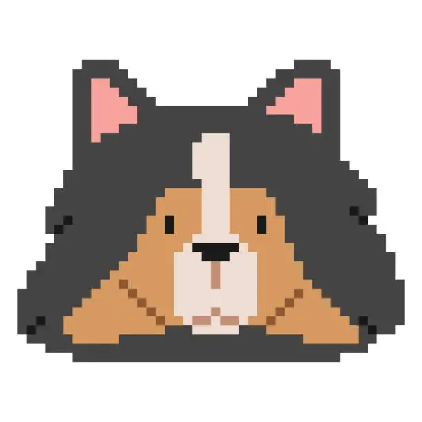 Vector illustration of Shetland Sheepdog Head Pixel 1