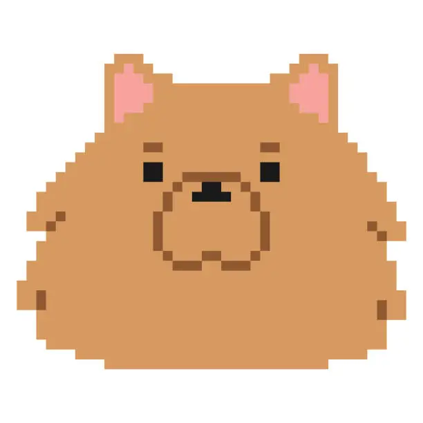 Vector illustration of Pomeranian Head Pixel 1