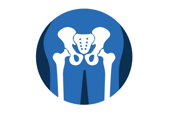 ilustraciones, imágenes clip art, dibujos animados e iconos de stock de icono ortopédico de la articulación de la cadera. - cadera