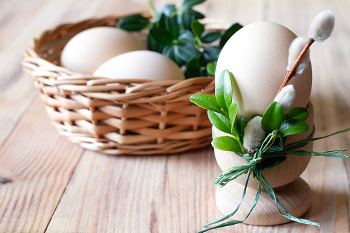 Egg in egg cup decorated catkins and boxwood and eggs in basket on wooden background, easter concept idea