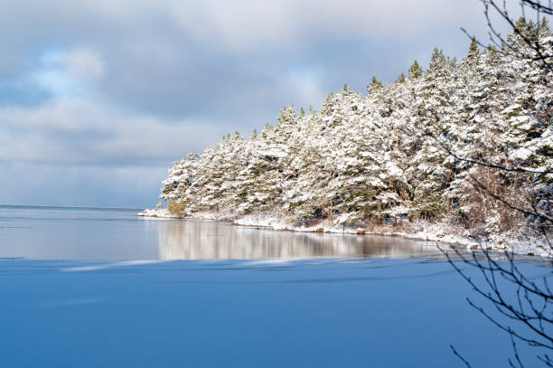 istock Overlooking ice on lake and winter forest 2039638740