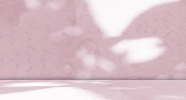 istock Beige Background 3d Brown Wall Backdrop Product Light Floor Kitchen Scene Podium Cosmetic Beauty Shadow Leaf Autumn Bg Pink Studio Room Stage Nude Color Loft Empty Template Summer Platform Minimal. 2039674784