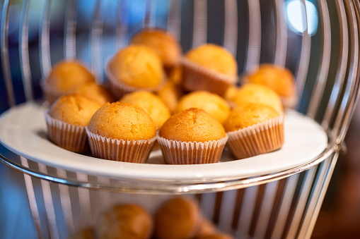 Group of baked muffin cupcake pieces which are served in the international buffet line. Food object photo, close-up and selective focus.