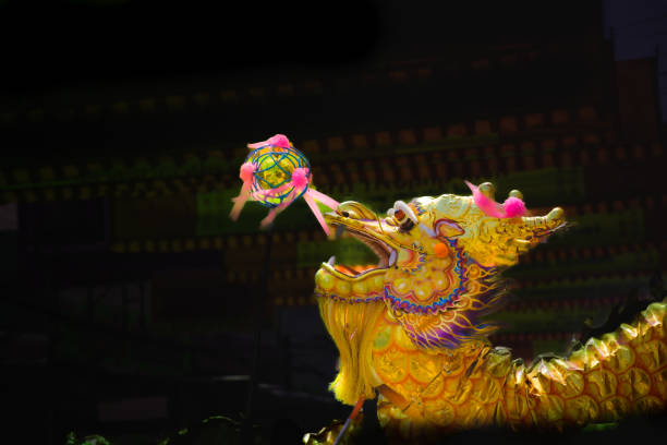 Chinese dragon dance with dark background during Chinese New Year festival.