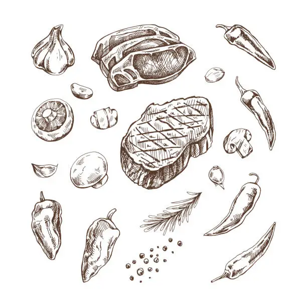 Vector illustration of Set of hand-drawn sketches of barbecue elements. For the design of the menu of restaurants and cafes, grilled food. Pieces of meat and vegetables with seasonings.