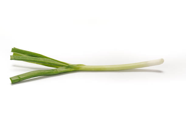 Green onions close-up on white background stock photo