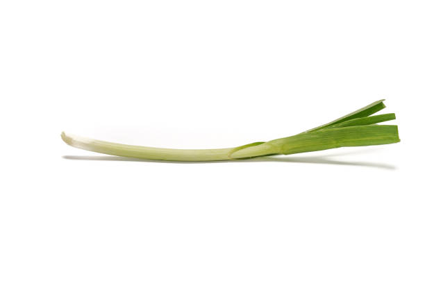 Green onions close-up on white background