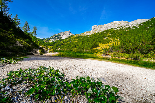 Hiking trail and unnamed lake between Twin Lakes and Island lake, east of Wrights lake, El Dorado National Forest, Sierra Nevada, California. Willow bushes and granite mountain slopes on a sunny summer day. Stitched panoramic image.