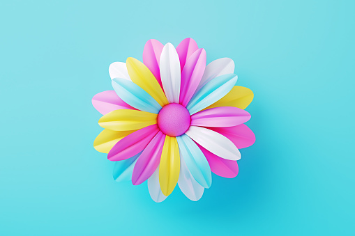 Multicolored daisy on blue background. Horizontal composition.