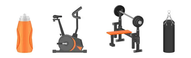 Vector illustration of Various Gym Equipment and Training Apparatus Vector Set