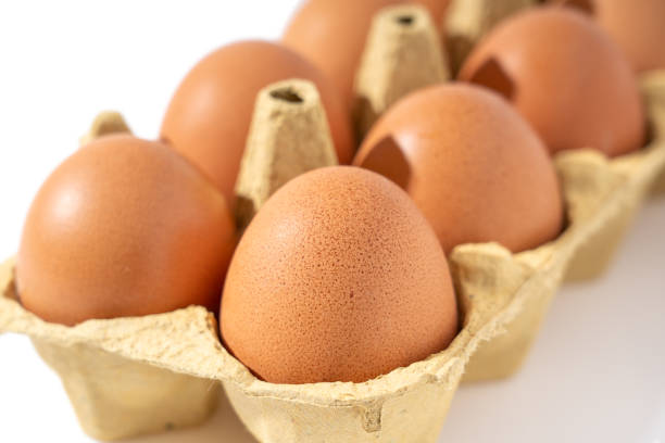 istock Filled egg carton. Macro. Isolated on a white background. 2039807036