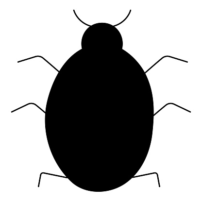 black insect ladybug. Vector hand drawn illustration. Icon, element, object