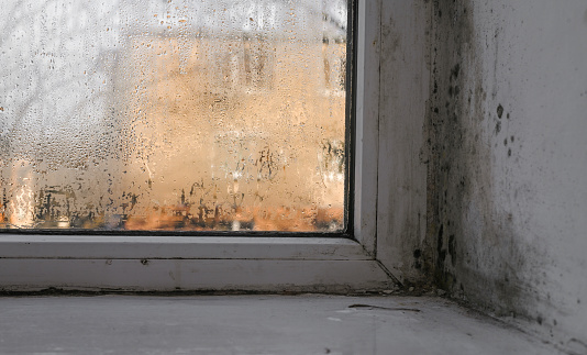 mold and mildew appear on a wet window
