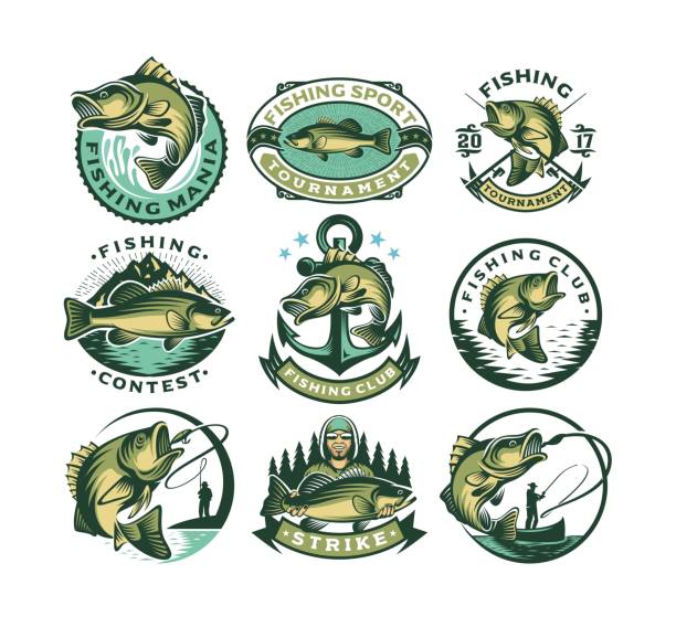 ilustrații de stoc cu set de etichete vintage pentru pescuitul bibanului, ecusoane cu logo și elemente de design - pescuit
