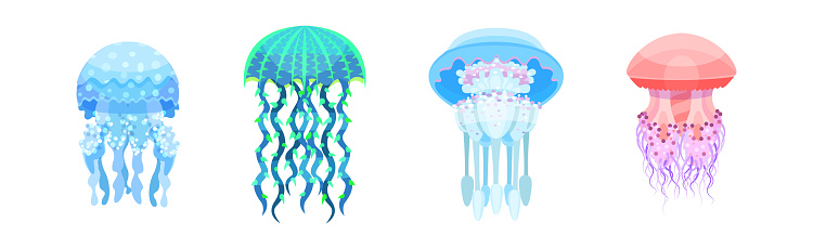 Colorful Jellyfish with Umbrella-shaped Bell and Trailing Tentacles Vector Set. Gelatinous Free-swimming Marine Animal Concept