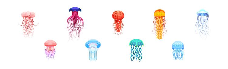 Colorful Jellyfish with Umbrella-shaped Bell and Trailing Tentacles Vector Set. Gelatinous Free-swimming Marine Animal Concept